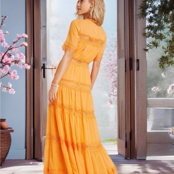 RANNA GILL Vibrant Orange Maxi Dress - Picture 3 of 9